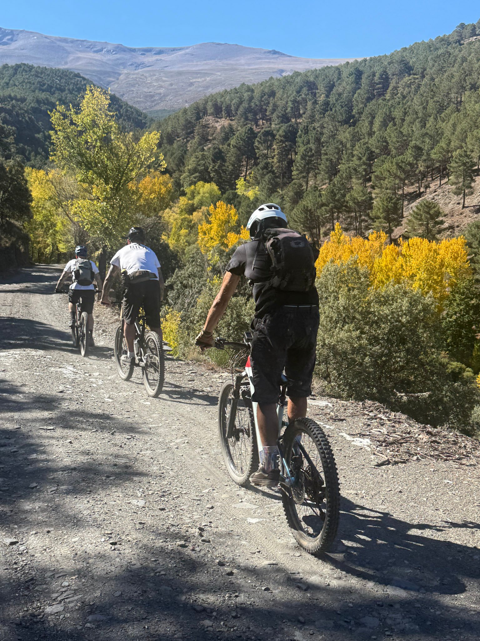 Ride Trans Nevada Group riders through sierra nevada, yellow trees